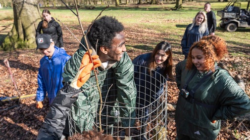 A group of four youth volunteers planting a tree in Dunham Massey's woodland. One young man is leaning into a metal tree covering to plant a tree.